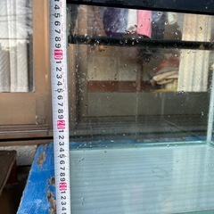 60×45水槽の画像