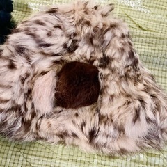 ラビットファー　帽子セットの画像