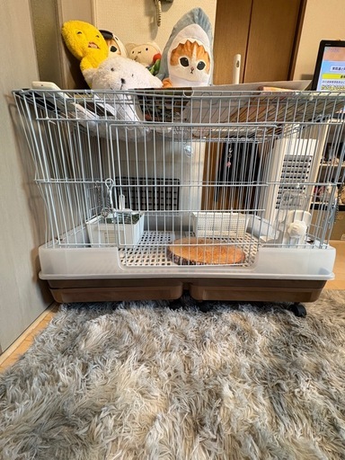 動物 ケージ