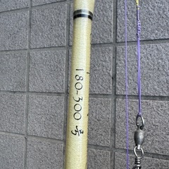 シマノビースト6000とロッドセットの画像