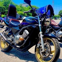 バリオス　1の画像