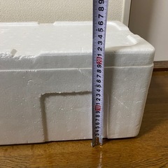 発泡クーラー　クーラーボックス代わりにの画像