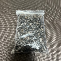 冷凍コオロギの画像