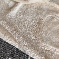 モコモコ 
ボア ルームウエア ズボン クリーム色 フリーサイズの画像