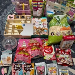 アイリスオーヤマハムスターゲージ （飼育に必要な餌や砂、遊び道具まで付きます）の画像
