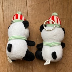 パンダ2頭の画像