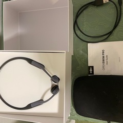 OpenSwim Pro の画像