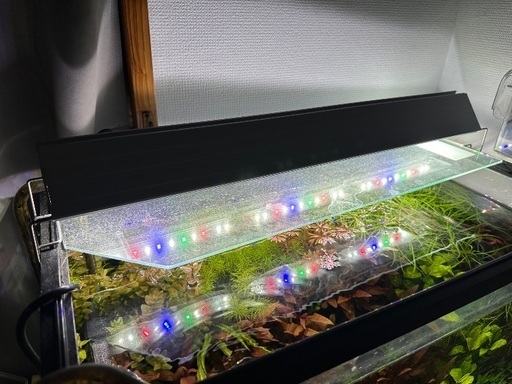 水草水槽セット