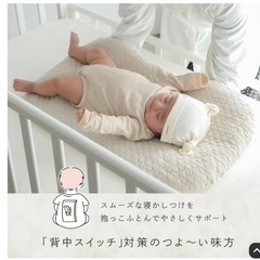 プッパプーポ　イブル抱っこ布団の画像