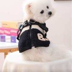 ペット　アウターの画像