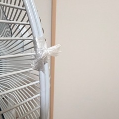 嫁入り先決定☆【無料】東芝 扇風機（2005年製）マイナスイオン機能付きの画像