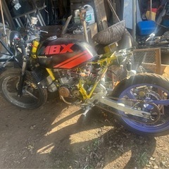 エイプ50の画像