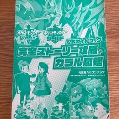 ポケモン　ガイドブック
の画像