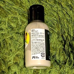 LUSH 素足のTブレイク　旧パパの足の画像