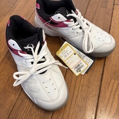 シューズ　室内用の画像