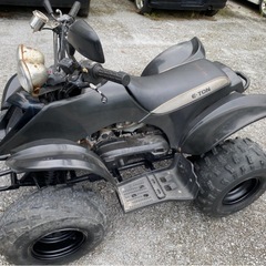 中華バギー
の画像