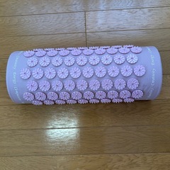 シャクティ　　マット＆枕セットの画像