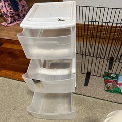 犬用品！全て受取にて無料で差し上げます。の画像