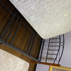 シングルヘッドの画像