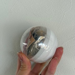 アヒルと犬(パグ)の画像