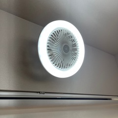 小型扇風機 LEDライト シーリングファンライト 軽量 リモコン付き 空気循環 扇風機 静音 LEDライト シーリングファンライト LED 扇風機 照明 シーリングライト 口金E26対応 タイマー シーリングライト シーリングファン角度調整の画像