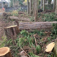 杉の原木。薪ストーブなどにの画像