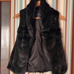 アメリカンイーグル　ファーベスト　ベスト　の画像