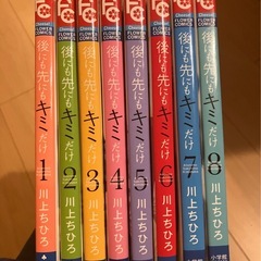 後にも先にもきみだけ（少女マンガ）の画像