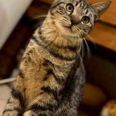 人懐こい甘えん坊！誰にでもスリスリ男子