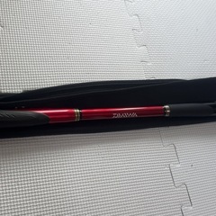 DAIWA DX-R メガチューン 極美品  2号-5.3の画像