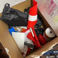 スキンダイビング、魚突き、フロートなどの画像