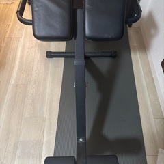 背筋マシーンの画像