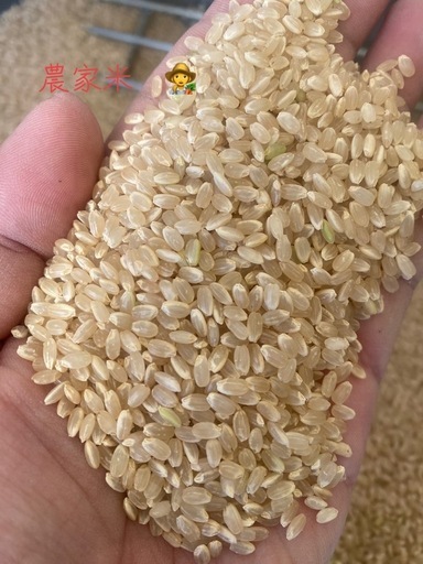 新米　お米　農家米　30キロ