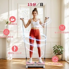 　定価11000円の2026年1月購入　ツイストボードの画像