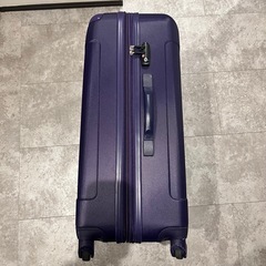 キャリーバッグ Lサイズの画像