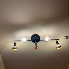 シーリングランプの画像