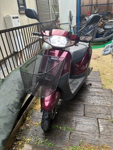 原付バイク令和元年ホンダタクト