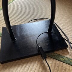 ココナッツリーフのフロアランプの画像