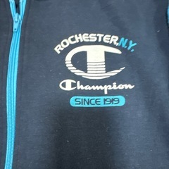 Champion 150 パーカーの画像