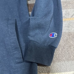 Champion 150 パーカーの画像