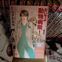 著者・たらさわみち・おいでよ動物病院他計13冊の画像