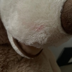 ぬいぐるみの画像