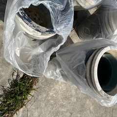 鉢植え たくさんの画像