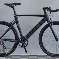 tern rip Limited Edition 540 (700cc) の画像