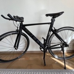 tern rip Limited Edition 540 (700cc) の画像