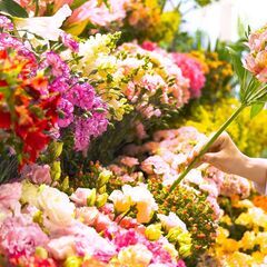 🌸お花が好き。その気持ちからで大丈夫♦未経験歓迎のフローリスト/駅徒歩5分・地域密着のお花屋さんの画像