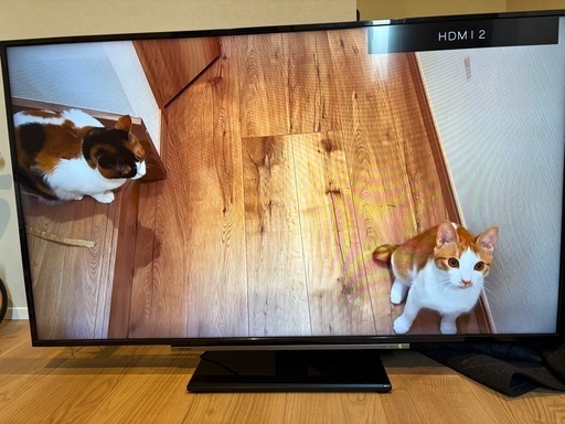 TOSHIBA 50HL210X 50インチTV (Jack) 高槻のテレビ《液晶テレビ》の
