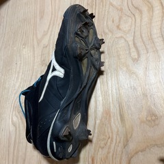 【ミズノプロスパイク】の画像