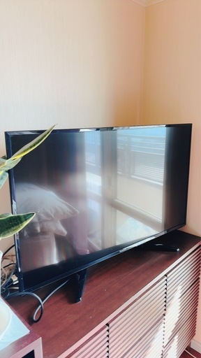 Panasonic VIERA TH-43EX600 43V型 液晶テレビ 2017年製 パナソニック リモコン付き
