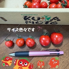 ミニトマト2kgの画像